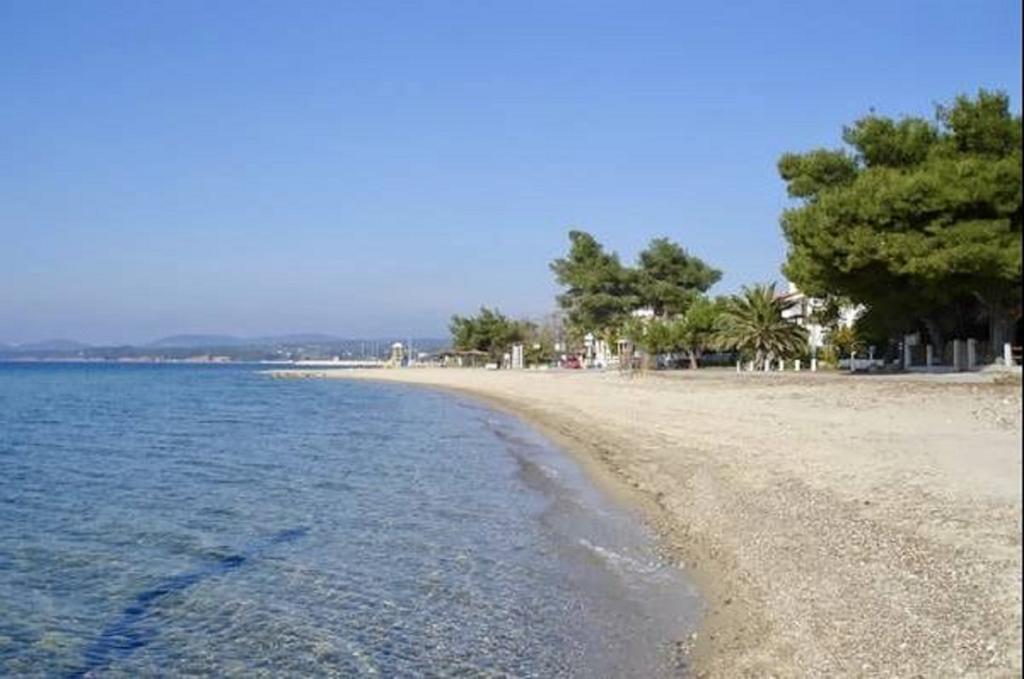 Beach House Nikiti Buitenkant foto